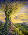 /album/photogallery/natures-embrace-jpg/