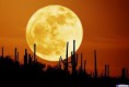/album/photogallery/moon-jpg/